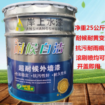 Latex paint interior and exterior wall waterproof environmental protection yellow-resistant old house refurbishment open cover adjustable any color paint
