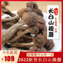 2022 - Zhen specially produces wild hazel mushroom dry mushroom 500g chicken stew mushroom white mountain dry mushroom
