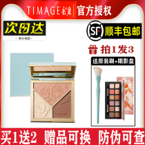 TIMAGE color master master high-gloss repair plate Tang Yi three-color Integrated Plate matte glitter nose shadow brightening
