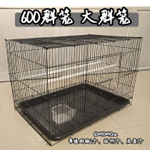 Factory direct sales large group cage 600 group bird cage rabbit cage breeding cage wire metal encryption parrot cage