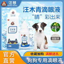 Wang Muqing Eye Drops Wang Xian Dog Pet Dog Clean Eyes Tear Wash Eyes Non Eye Drops