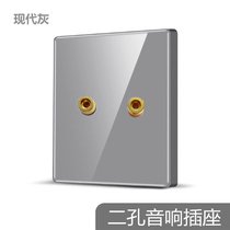 International Electrical 86 acrylic plexiglass mirror switch socket Gray 2-hole two-head audio Audio