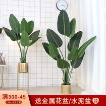 Nordic traveler Banana simulation plant potted indoor ins decoration fake green plant Large floor-to-ceiling bonsai living room ornaments