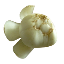 Fresh Lily 500g Lanzhou fresh lily fresh lily only sweet and not bitter farmhouse vacuum edible sulfur-free
