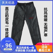Boutique fur trousers liner sheep shearing leather pants and mens high-waisted wool trousers middle-aged and elderly warm pants