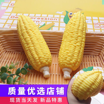 Decompress and vent large corn durian over the house to ease the mood Pinch music Creative tricky toy Banana buns