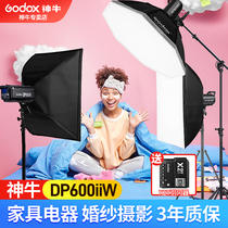 Shen Niu DP600II SK400WII second-generation photography light Studio light set Flash Studio portrait still life fill light photo light Indoor lighting light Clothing photo set soft light light