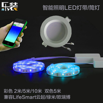 Lebo smart home LED color soft 24V light with homekit voice color change brightness Cloud green Miorui Bo