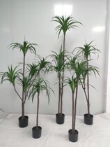 Simulation of Brazilian iron tree plant potted shooting props landing green plant decoration bonsai custom music meal bar