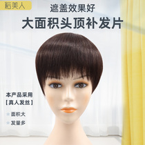 Mothers wig female head replacement piece straight hair natural brown cover white hair middle-aged and elderly one piece of real hair film