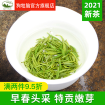 2021 new tea spring tea listed Jinggangshan dog gunnao tea green tea special gong special grade Ming head pick tender bud tea