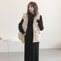 Autumn winter new pregnant women Machia Han version loose Belly Button Slim Fashion splicing thickened Lianhood cotton coat jacket