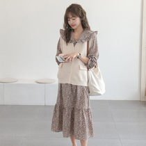 Fall new gestational woman in Korean version Fashion models V collar Med-shirt foreign air big code Conspicuy Knit Machia Tide Moms