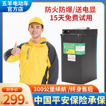 Electric vehicle lithium battery 48v60v battery car battery lithium iron phosphate battery large capacity take-out special customizable