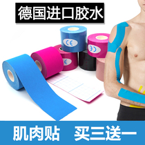 Muscle patch Elastic sports bandage Tape Muscle patch Tennis Basketball Wrist brace Knee brace Arm muscle patch