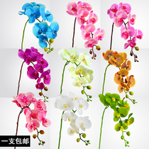 Glue feel fake flower Phalaenopsis simulation flower Single flower Living room floor silk flower decorative flower Home wedding lynx flower