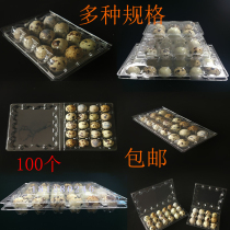 Quail egg tray plastic quail egg transparent box with buckle thickening disposable quail egg gift box 18 pieces 20 pieces