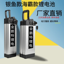 Car driving car silver fish lithium battery 48v12ah25ah36v ternary lithium battery 48v30ah large capacity