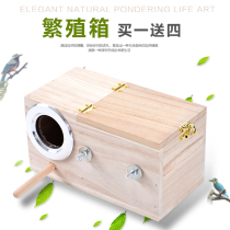 Solid Wood Wenbird tiger skin peony Xuanfeng parrot breeding box nest box nest bird nests send wood chips multi-provincial bird cage accessories