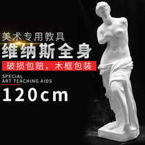1 2 M whole body Venus art teaching aids plaster head sculpture plaster sculpture sketch plaster head model