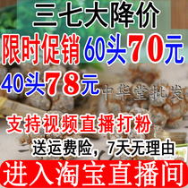 Yunnan Wenshan Chunpanax nosanqi 20 head 30 head 40 head slick head Tianqi 500g can substitute fine powder