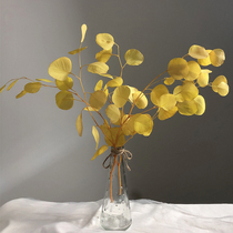 Nordic round-leaf eucalyptus real flower natural immortal dried flower plant flower arrangement ins bouquet soft decoration