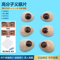 Imported polymer resin prosthetic eye tablets eyeball atrophy removal wax figure beauty pupil ultra-thin custom disabled clip eyeball