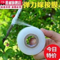 Glutinous rice paper tape grafting belt Bud free of disassembly natural degradable paraffin film gardening flowers self-adhesive breathable