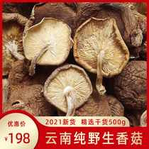 Pure wild mushrooms dried goods 500g Yunnan wild dried mushrooms small shiitake mushrooms fresh mushrooms dried farmhouse Linden natural