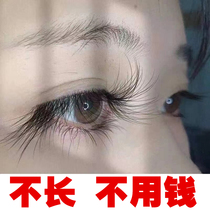 (Recommended by Li Jiaqi) thick curly natural shot 1 hair 3 bid farewell to false eyelash growth liquid eyebrow growth liquid
