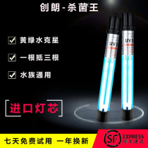 Chuanglang uv germicidal lamp outdoor fish pond ultraviolet algae removal built-in diving koi pond special sterilization lamp