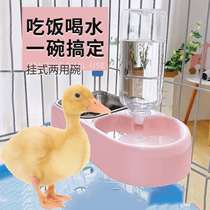 Duck Feeder Eating Basin Hanging Pet Cole Duck Anti-Stomp Special Supplies Small Chicken Eating Bowl Automatic Drinking Water