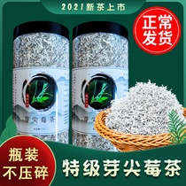 Bud tip berry tea Zhangjiajie premium wild Tujia Dragon beard Xiangxi Yongshun mold tea Flagship store Rattan tea Enshi