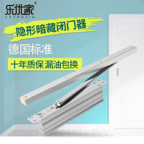 Leeuloist hydraulic buffer closure concealed automatic door closer with invisible door positioning silent concealed behind closed door