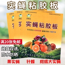 Melon fruit fly viscose board fruit fly fly fly needle bee sticky insect board agricultural orchard stick fruit fly trap