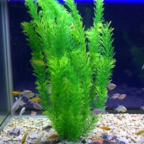Aquarium decoration aquarium landscaping simulation water and grass package fake seaweed landscape set material fish grass