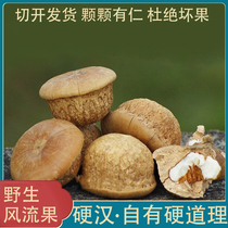 Authentic Guangxi wild wind fruit 500g special Tianzhu grain male wine wine material thick scale Ke Gua