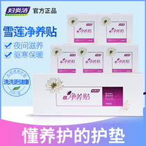 Fuyan Jie Xuelian patch official Chinese medicine pad female cotton antibacterial antipruritic safflower maintenance patch private care