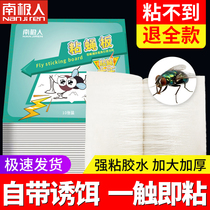 Antarctic LM fly sticker strong sticky board killer catch artifact sticky mosquito fly trap sweep home