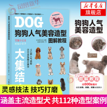 Dog popularity beauty styling illustration tutorial Dog styling design Reference guide Poodle Schnauzer Yorkshire Terrier Malzis Pet dog beauty styling Full illustration Wang Xing made