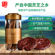 Huangshan Yunle semi-wild Ganoderma chip 50g Linzhi dry goods