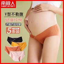 Pregnant womens underwear belly support pure cotton comfortable and seamless summer pregnant womens middle and late summer thin womens briefs head DF