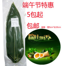 Zongzi leaf rice dumplings wild glutinous rice dumplings Glutinous Rice Dumplings Fresh End Afternoon Bamboo Leaves Big Vacuum Brown Leaves