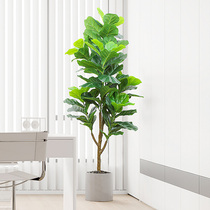 Large-scale simulation green plant qin leaf banyan Nordic indoor potted decoration fake green plant home living room bonsai decoration