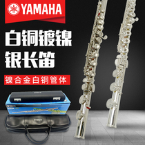 Yamaha flute instrument 212 beginner 411 exam grade 471 professional C tune E key B tail 16 hole 17 hole curved flute