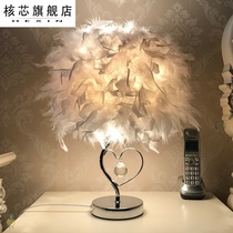 2021 net red bedside lamp Net red lighting feather table lamp fashion Nordic living room decoration lamp ins girl bedroom
