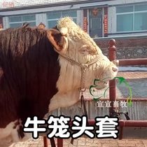 Crate head cover cow Dragon set cow reins Bolt cow rope weaving large manual special cattle breeding horse faucet
