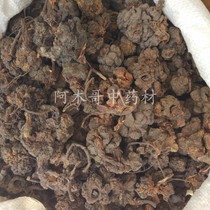 Wild Cistanche root immortal grass head top Tianzhu head rejuvenating grass root old valley head Cistanche Rong pure root