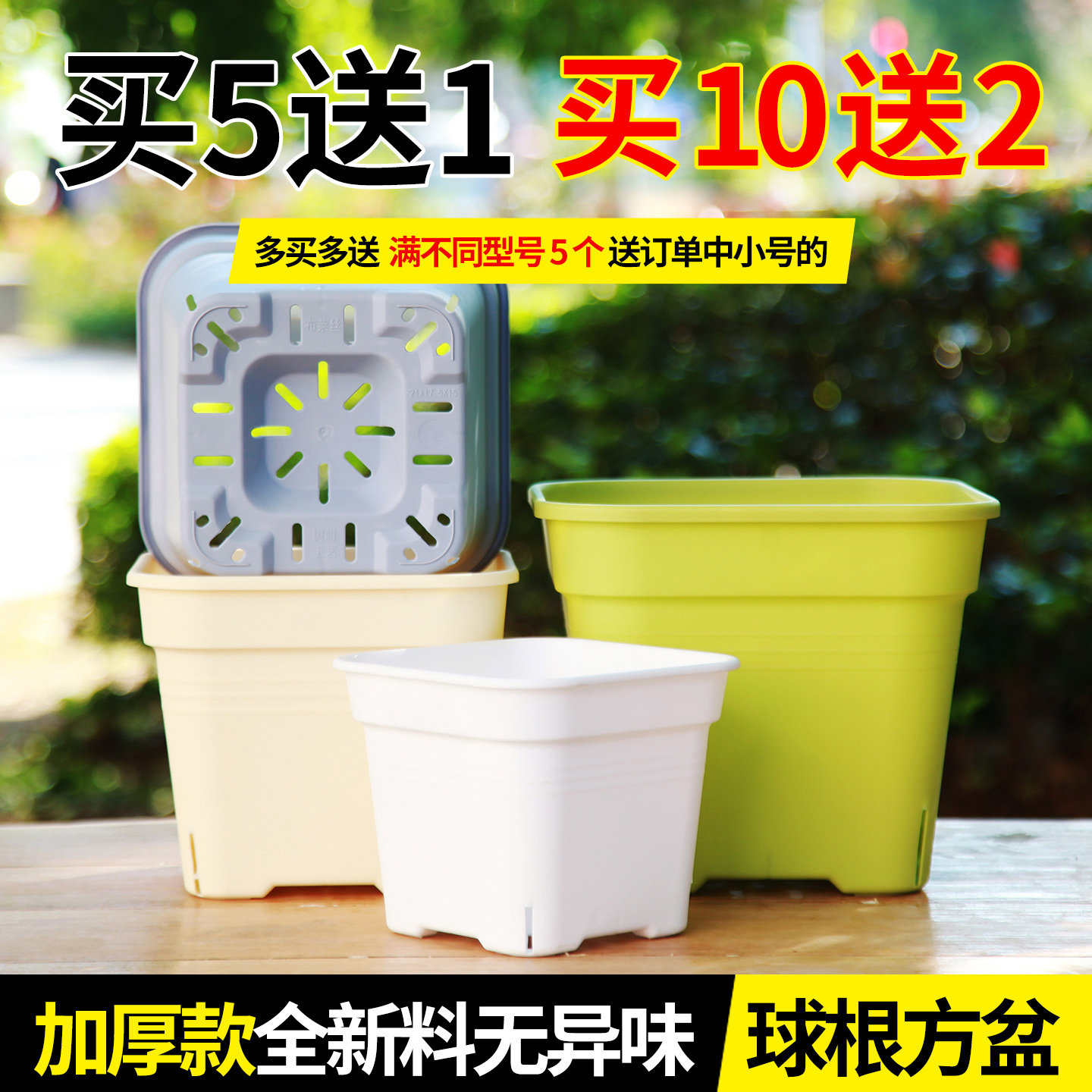 紫色贝壳小花盆-紫色贝壳小花盆促销价格、紫色贝壳小花盆品牌- 淘宝