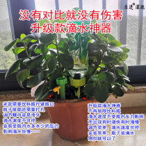 Household automatic flower watering device dripper water seepage device timing adjustable flow rate lazy water drip watering artifact